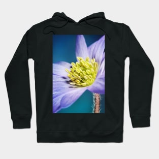 Spring Blues Hoodie